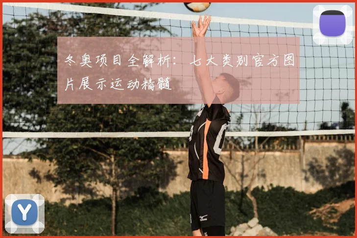 冬奥项目全解析：七大类别官方图片展示运动精髓